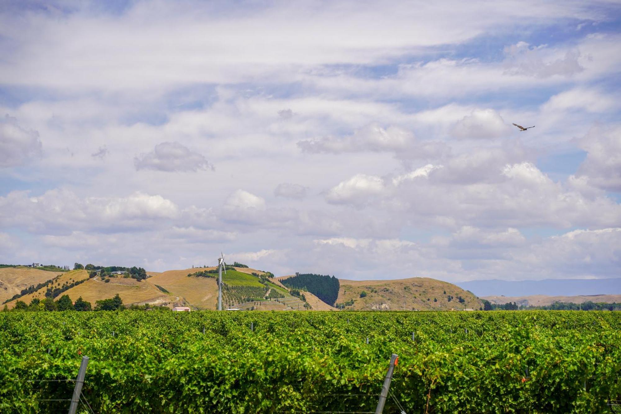 Syrah Suite Unison Vineyard Fernhill Bagian luar foto
